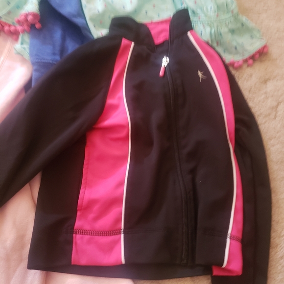 Girls Size 4t Lot - Picture 4 of 8